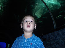 Ryan April 2006